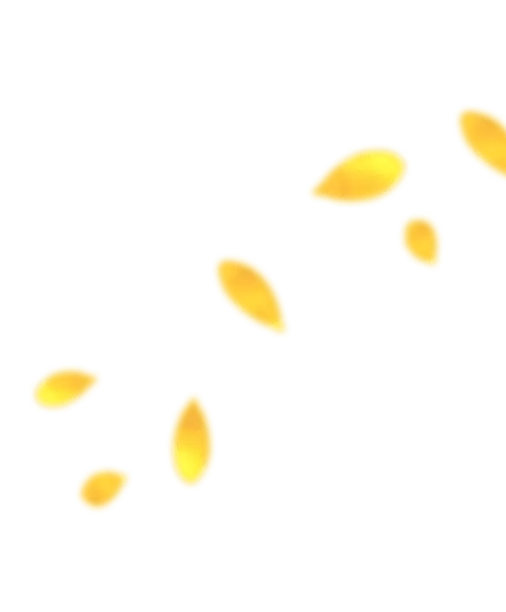 seeds
